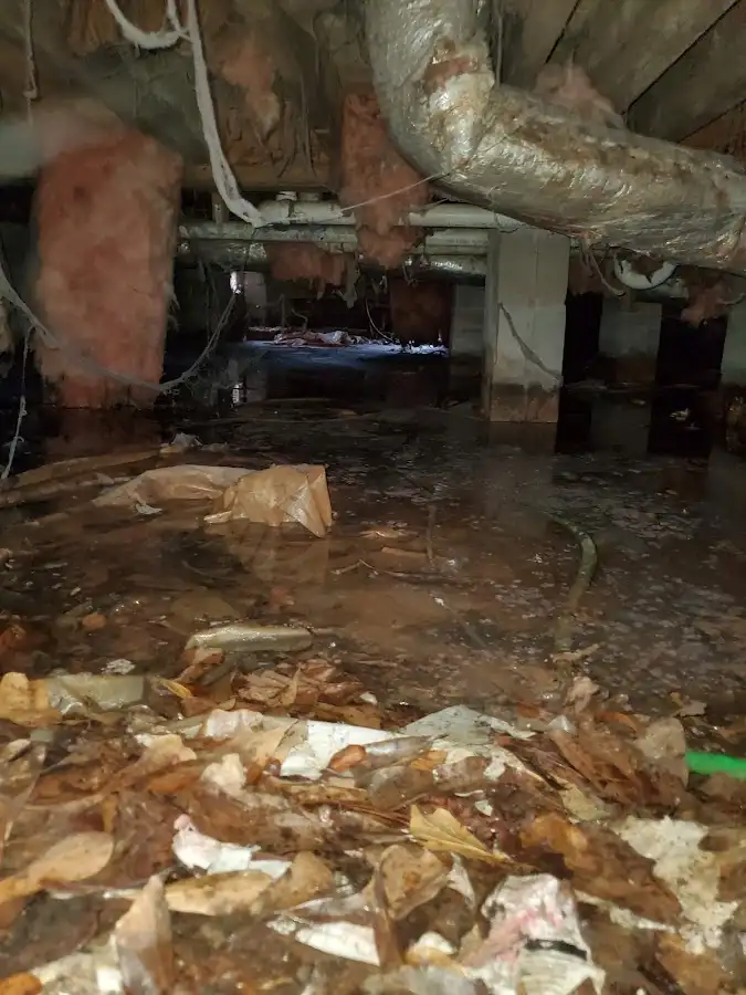 Crawl space flood assessment for Leak Detection & Repair in Cinco Ranch